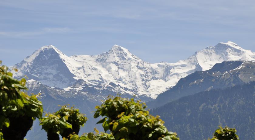 Hotel Schonegg Jungfrau Екстериор снимка